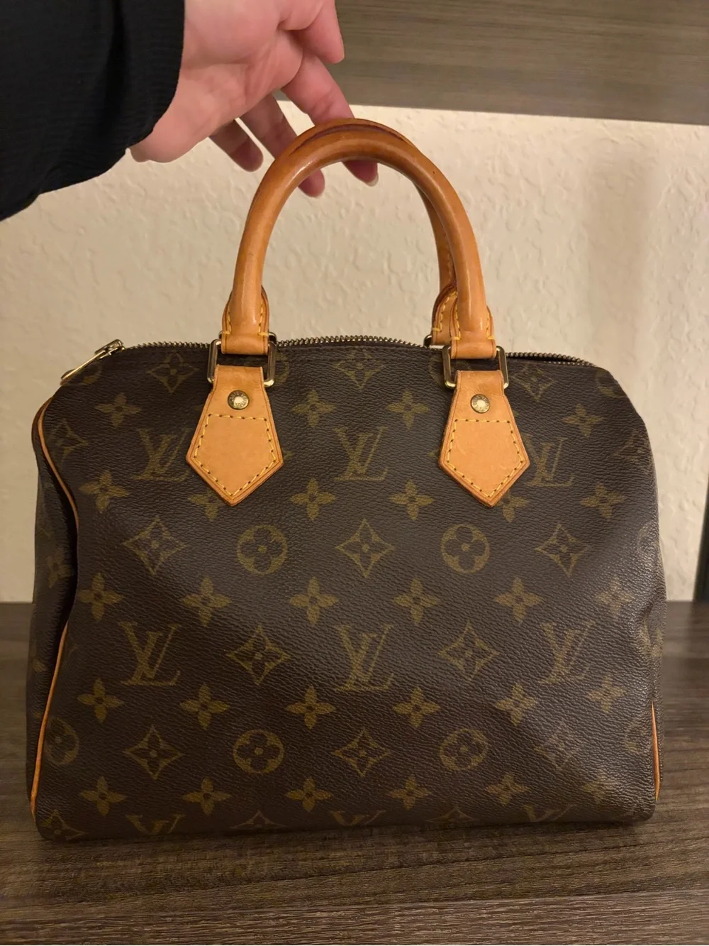 Louis Vuitton Monogram Speedy 25